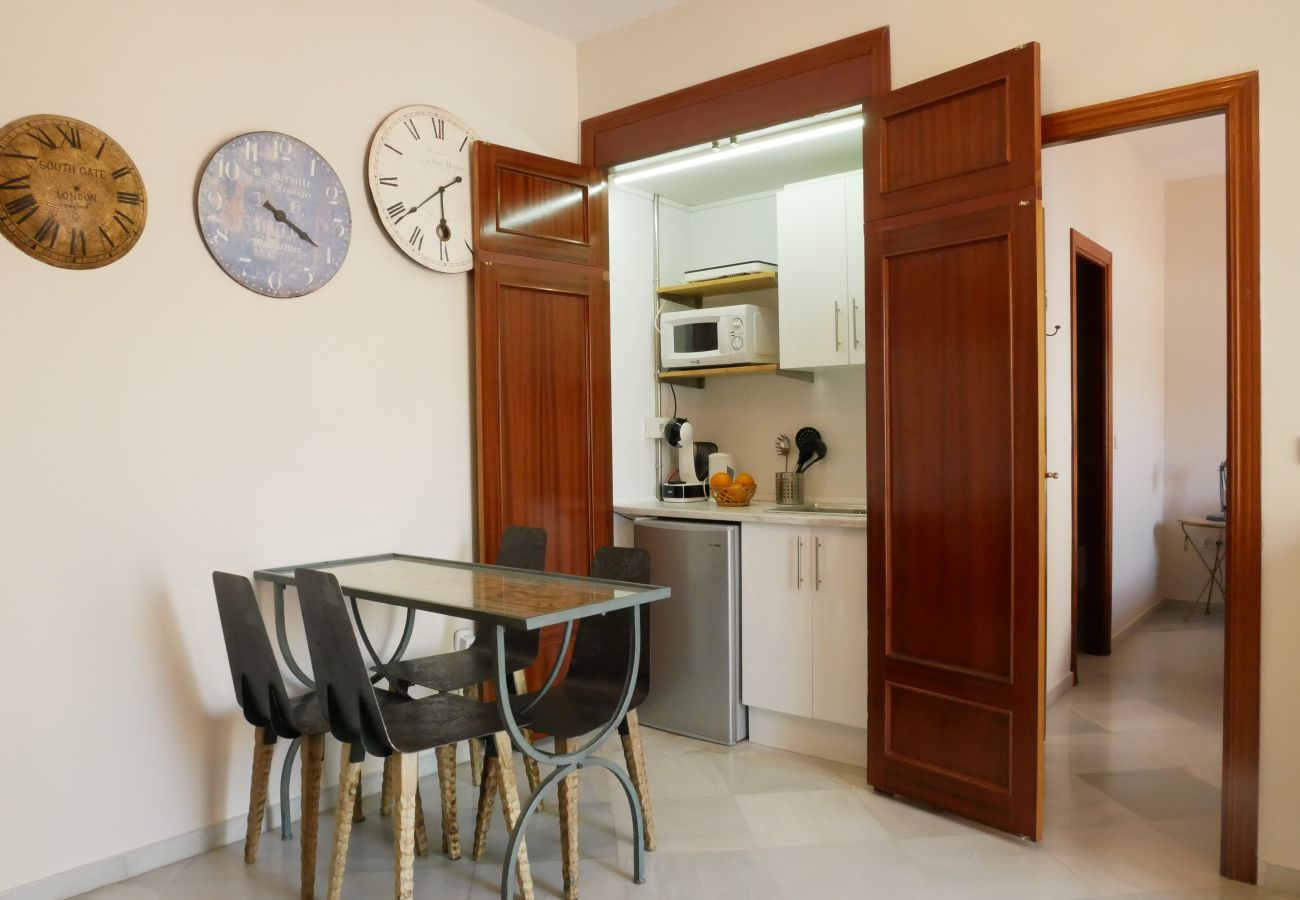 Apartment in Seville - Sierpes 